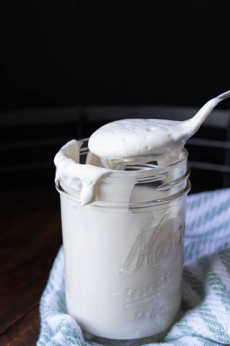 How To Make Vegan Yogurt - Veggies Don't Bite