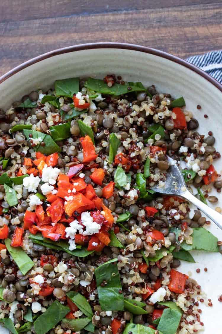 Lentil Quinoa Salad- Veggies Don't Bite